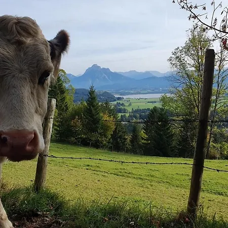 Alpenblick 8, Bergblick Pur Im Allgaeu Apartmán *