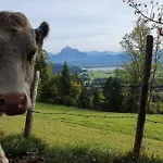 Alpenblick 8, Bergblick Pur Im Allgaeu Lejlighed *
