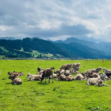 Alpenblick 8, Bergblick Pur Im Allgaeu Appartement